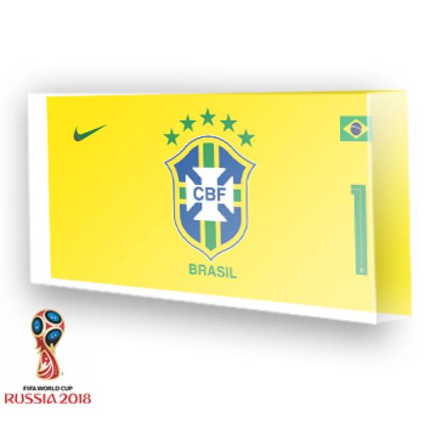 Goleiro do Brasil