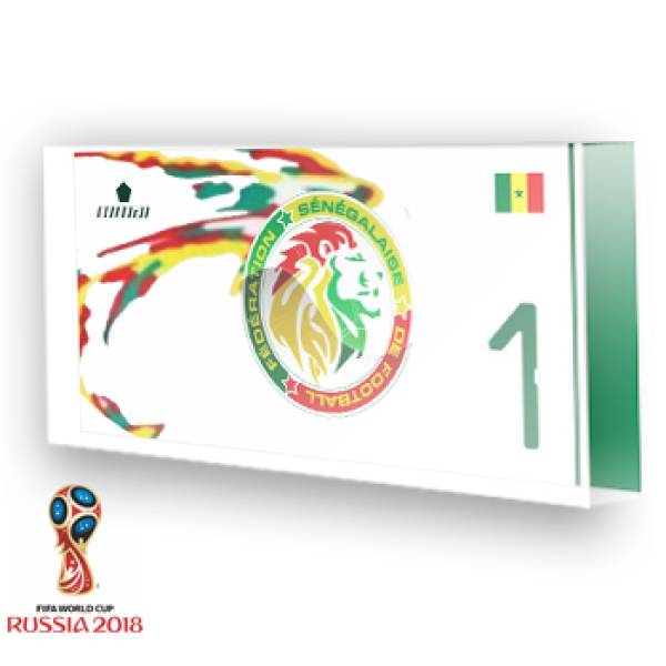 Goleiro do Senegal
