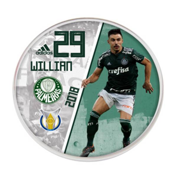 Jogo do Palmeiras - Campeão Brasileiro 2018