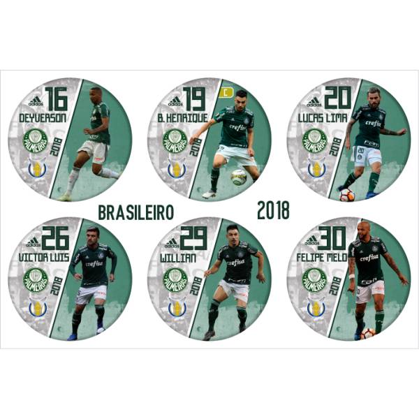 Jogo do Palmeiras - Campeão Brasileiro 2018
