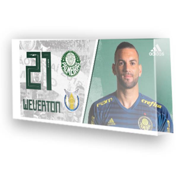 Jogo do Palmeiras - Campeão Brasileiro 2018