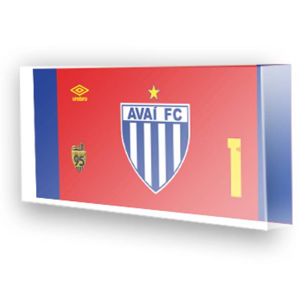 Goleiro do Avaí