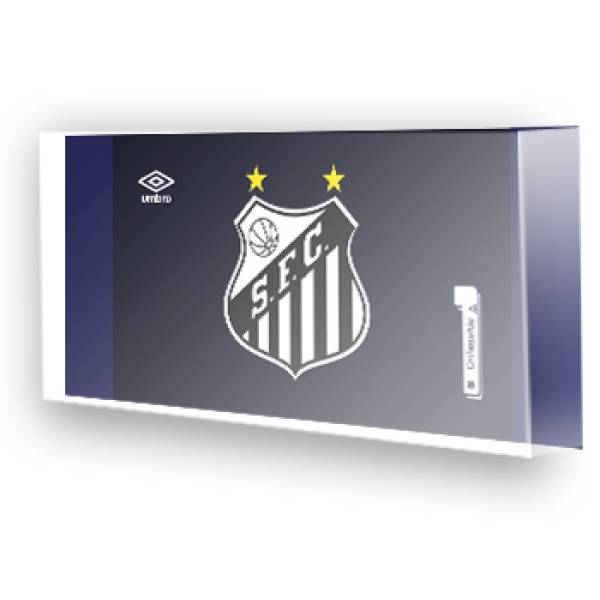 Goleiro do Santos
