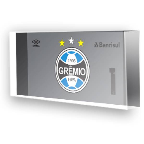 Goleiro do Grêmio