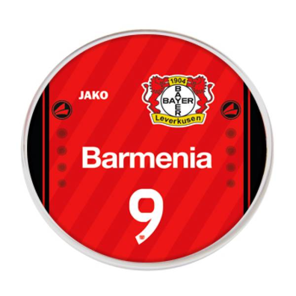 Jogo do Bayer Leverkusen