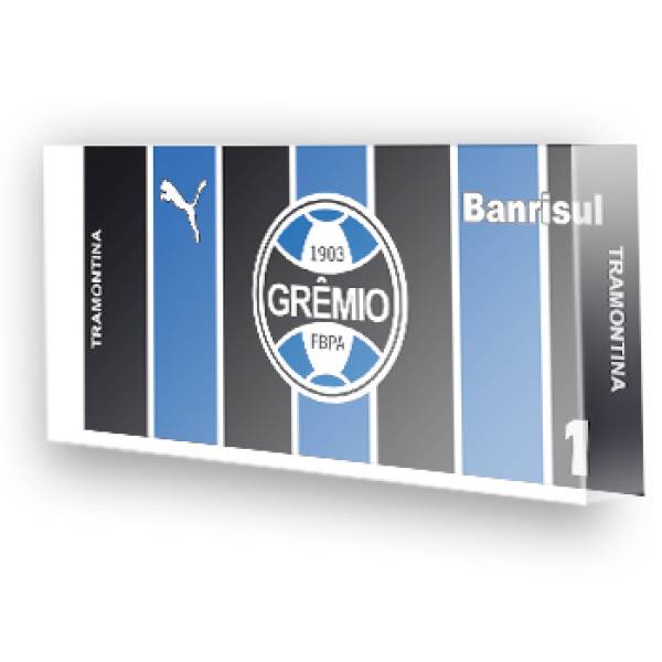 Goleiro do Grêmio