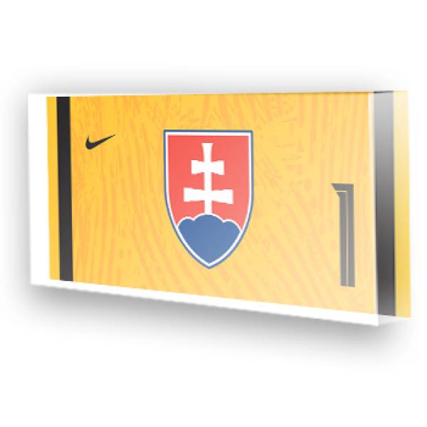 Goleiro da Eslováquia 
