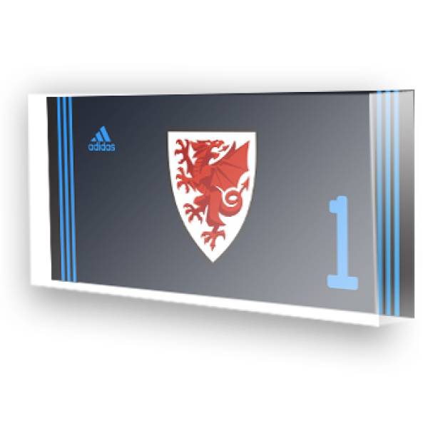 Goleiro País de Gales 