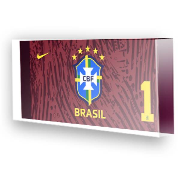 Goleiro do Brasil