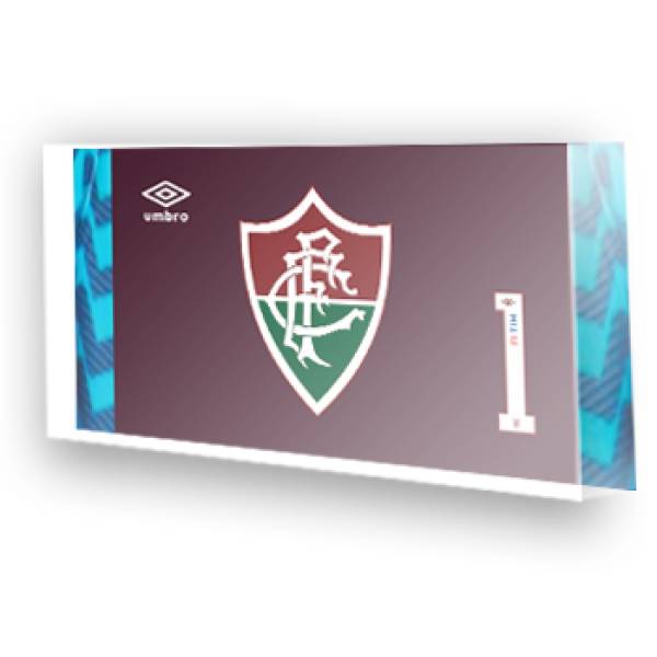 Goleiro do Fluminense