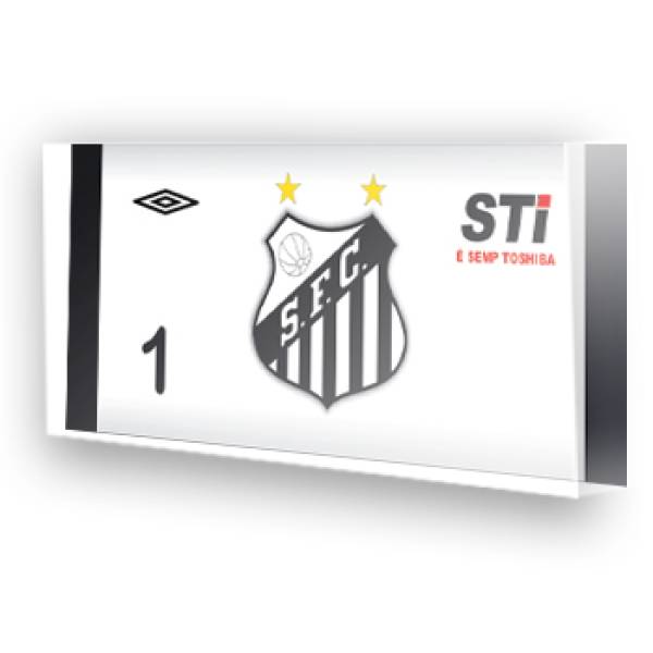 Goleiro do Santos
