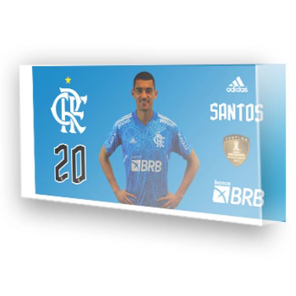 Jogo do Flamengo Libertadores - 2022