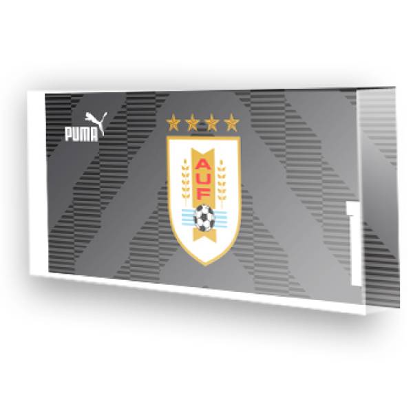 Goleiro do Uruguai - 2022