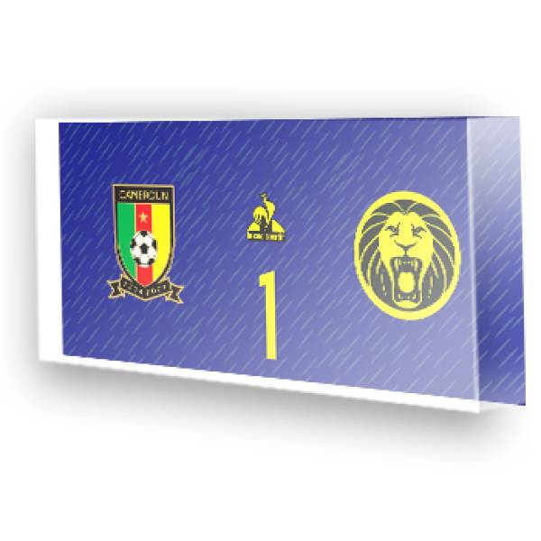 Goleiro de Camarões - 2022