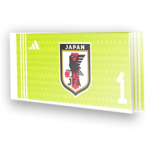 Goleiro do Japão - 2022