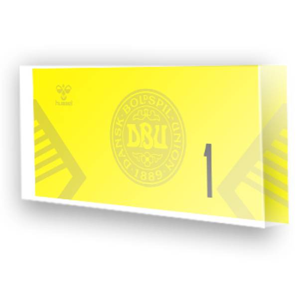 Goleiro da Dinamarca - 2022