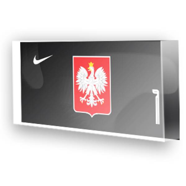 Goleiro da Polônia - 2022