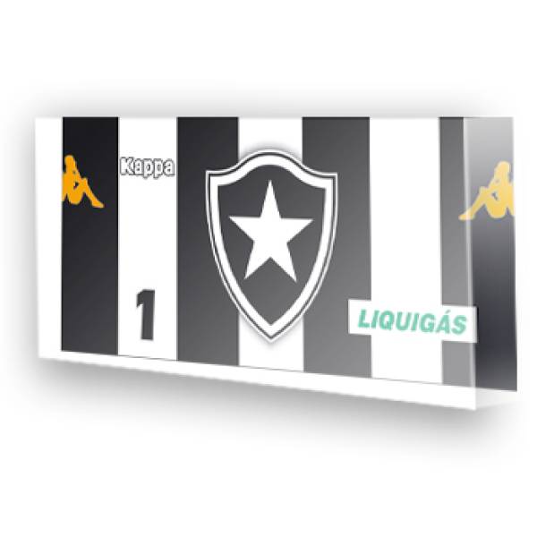 Goleiro do Botafogo
