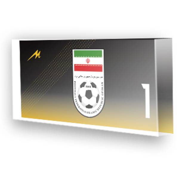 Goleiro do Irã - 2022