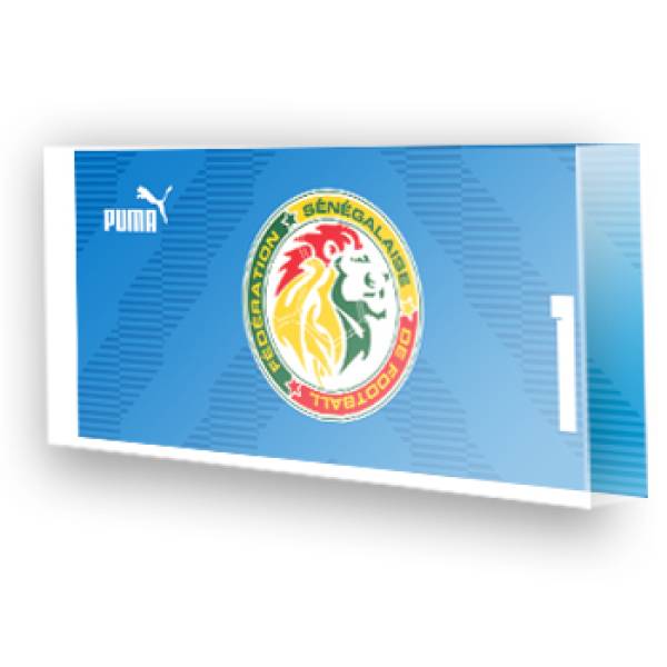 Goleiro do Senegal - 2022