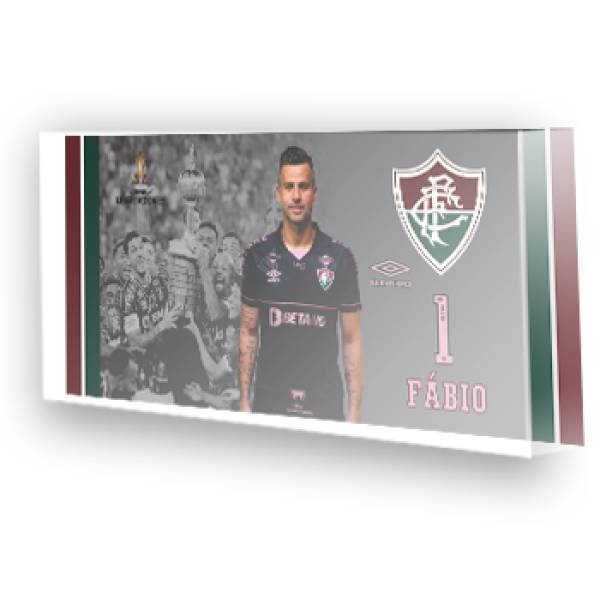 Jogo do Fluminense - Campeão Libertadores - 2023