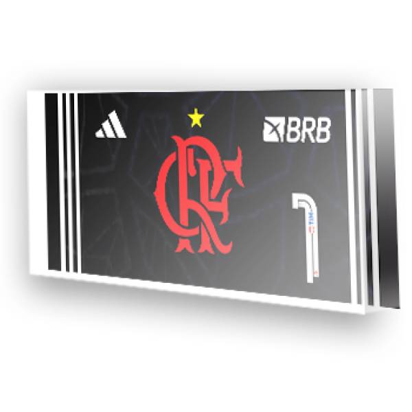 Goleiro do Flamengo