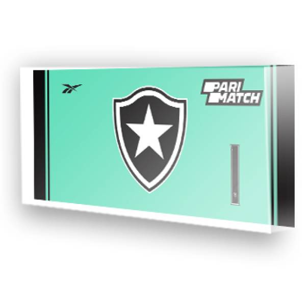 Goleiro do Botafogo