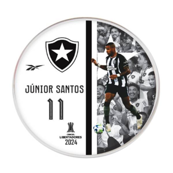 Jogo do Botafogo Libertadores - 2024