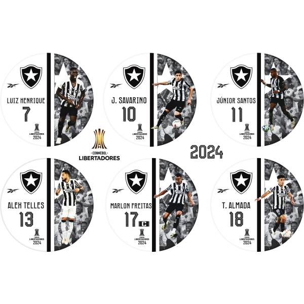 Jogo do Botafogo Libertadores - 2024