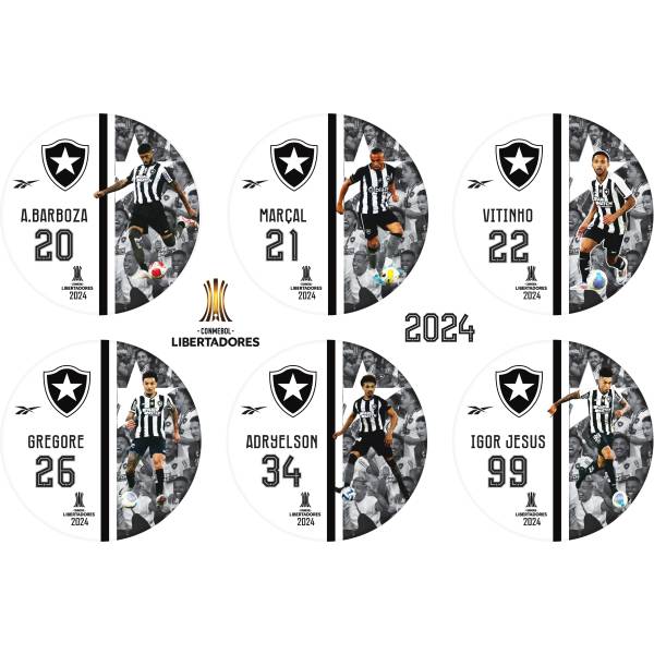 Jogo do Botafogo Libertadores - 2024
