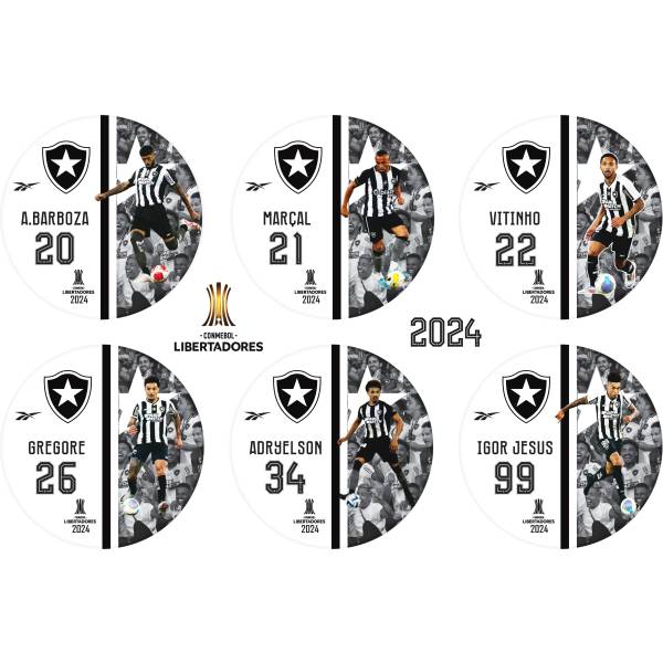 Jogo do Botafogo Libertadores - 2024