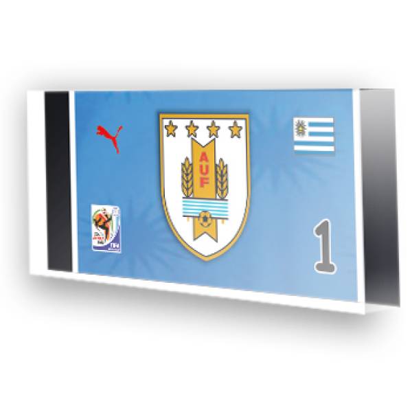 Goleiro Seleção do Uruguai