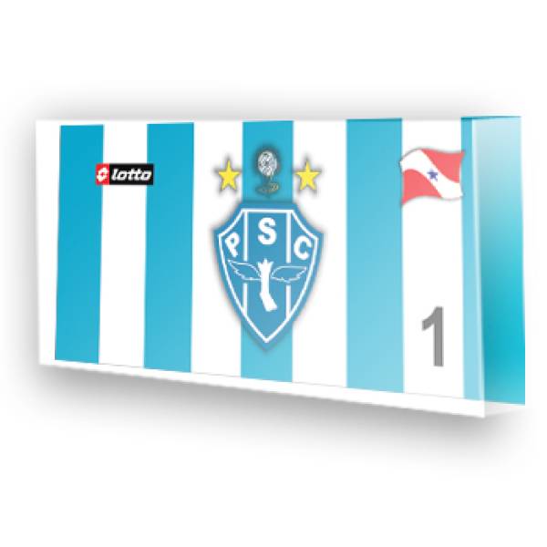 Goleiro do Paysandu 1