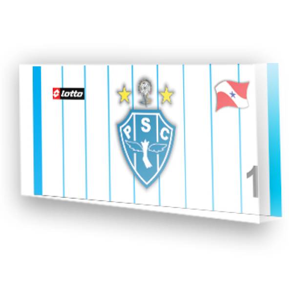 Goleiro do Paysandu 2