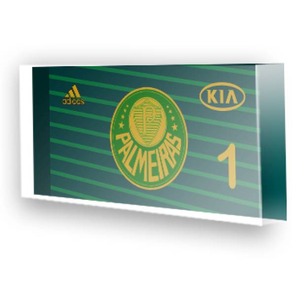 Goleiro do Palmeiras - 2013