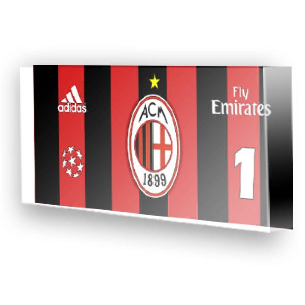 Goleiro do Milan - 2013