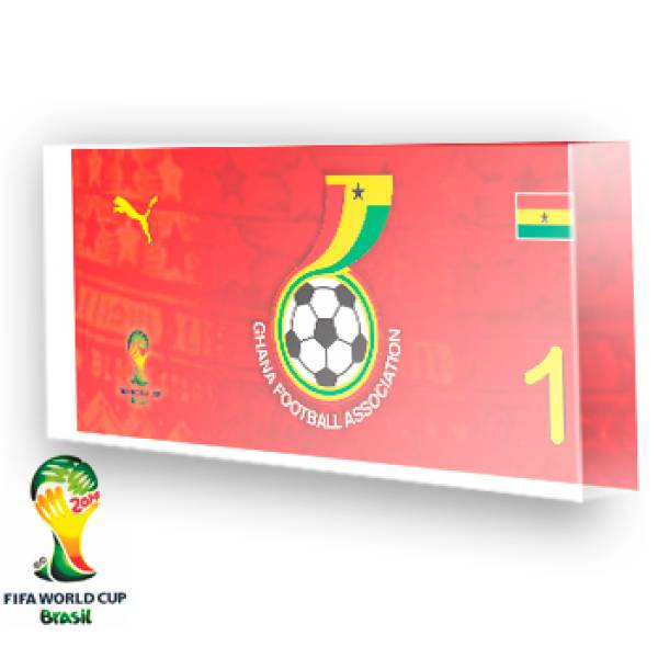 Goleiro de Ghana - 2014