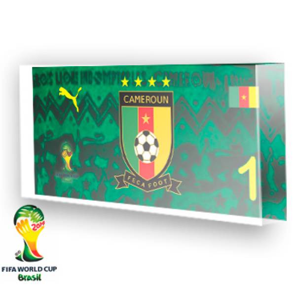 Goleiro de Camarões - 2014