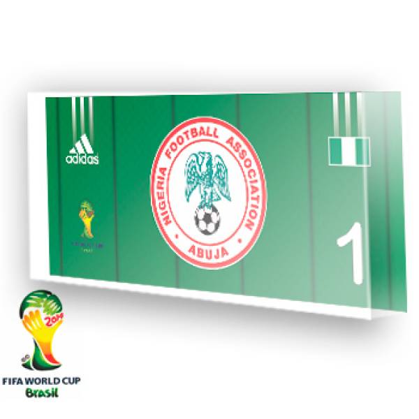 Goleiro da Nigéria - 2014