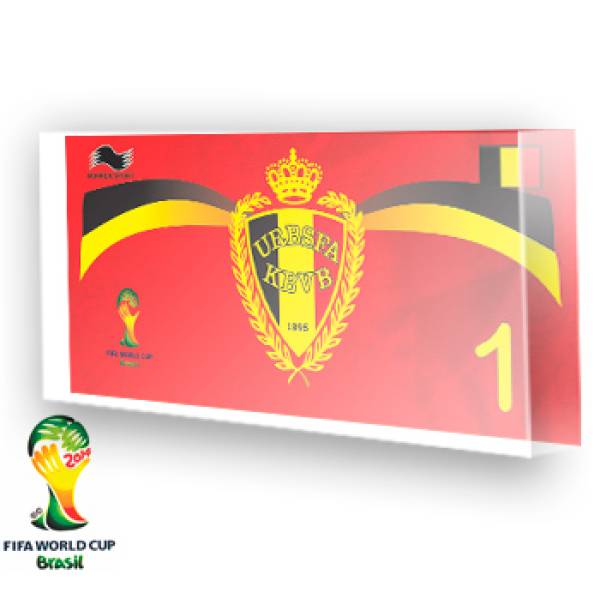 Goleiro da Bélgica - 2014