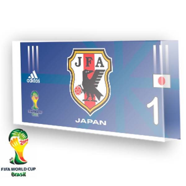 Goleiro do Japão - 2014