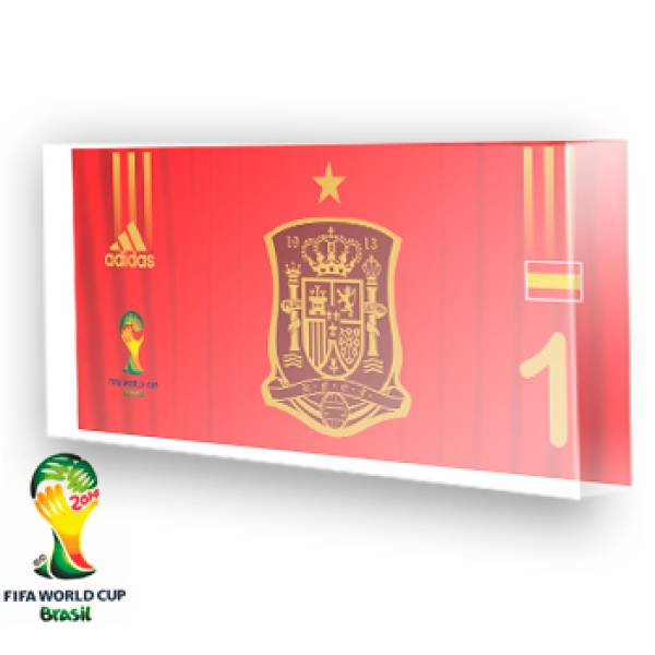 Goleiro da Espanha - 2014