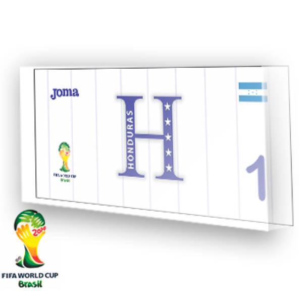 Goleiro de Honduras - 2014