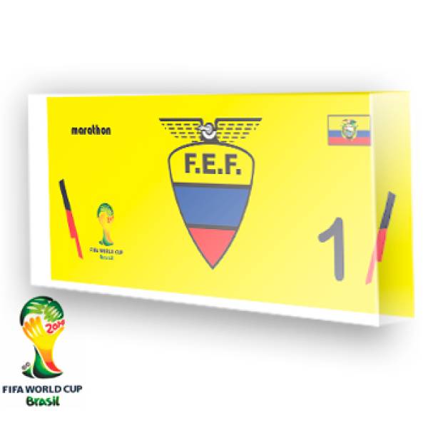 Goleiro do Equador - 2014
