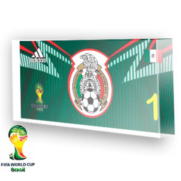 Goleiro do México - 2014