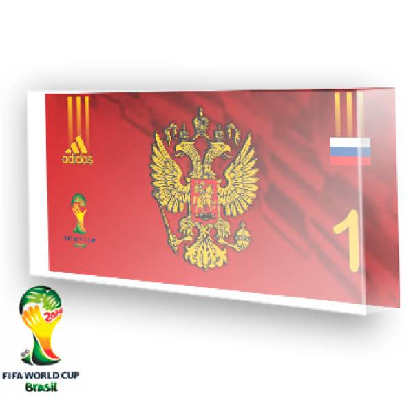 Goleiro da Rússia - 2014