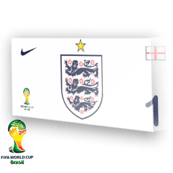 Goleiro da Inglaterra - 2014