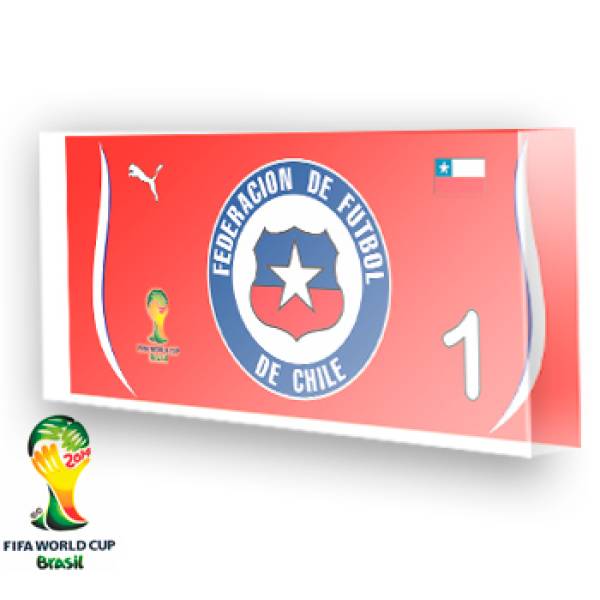Goleiro do Chile - 2014