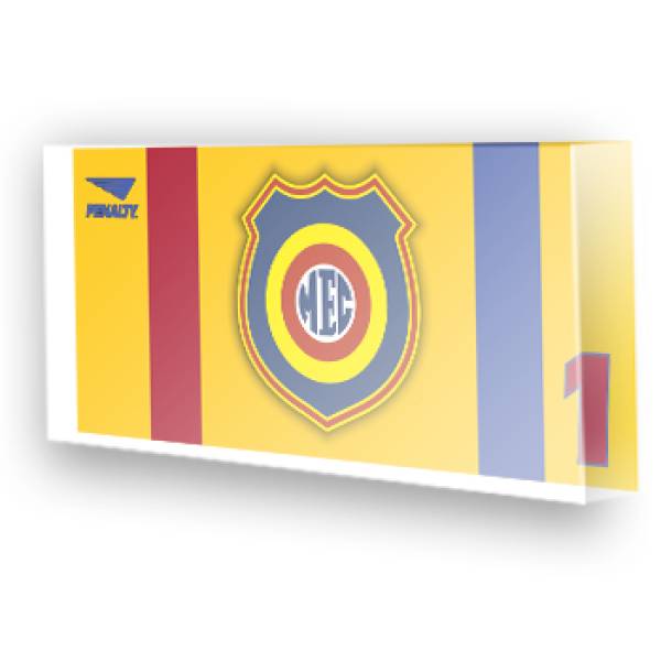 Goleiro do Madureira - 2