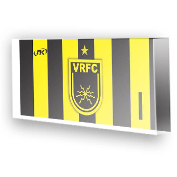 Goleiro do Volta Redonda